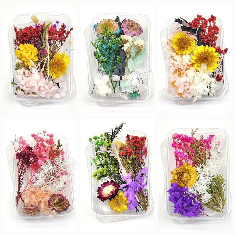 Brille Bee Natural Dried Flowers Mix for DIY Craft – Multicolor Real Flowers for Resin Art, Soap Making, Candle, Scrapbooking, Jewellery, Pendant Art & Decoration (1 Box) - Image 2
