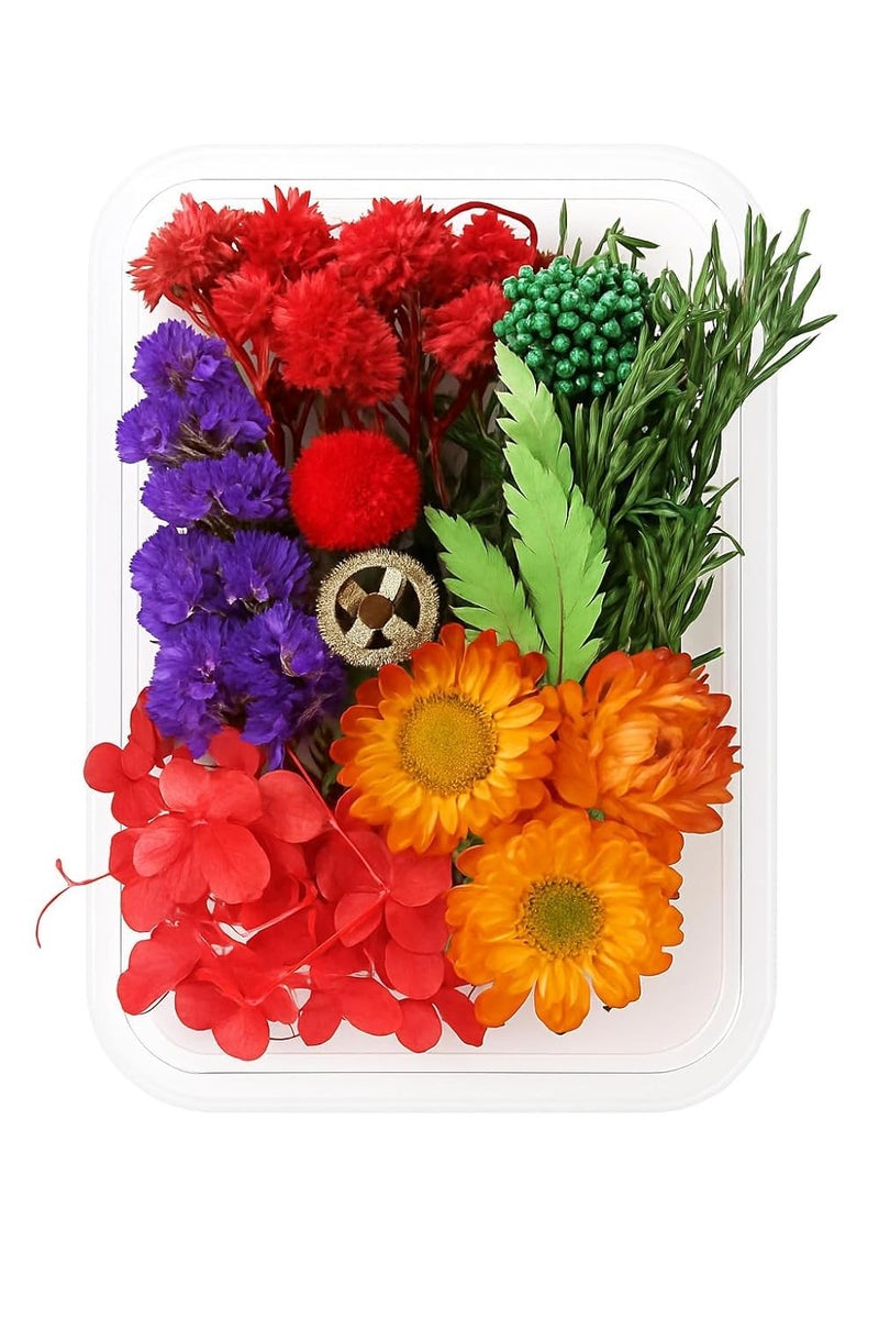 Brille Bee Natural Dried Flowers Mix for DIY Craft – Multicolor Real Flowers for Resin Art, Soap Making, Candle, Scrapbooking, Jewellery, Pendant Art & Decoration (1 Box) - Image 1