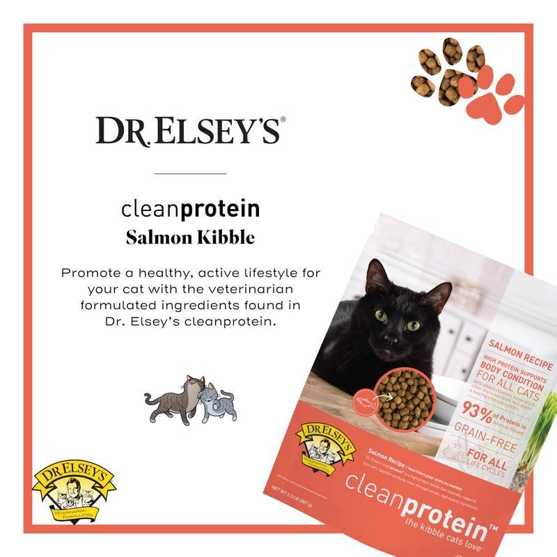 Dr. Elsey's طعام قطط جاف من دكتور إلسي بنكهة السلمون، 2 باوند (عبوة من 1) - Image 2