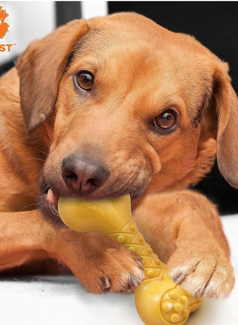 Nylabone Power Chew Chew Chicken, Multi-Colour, Large - Image 2