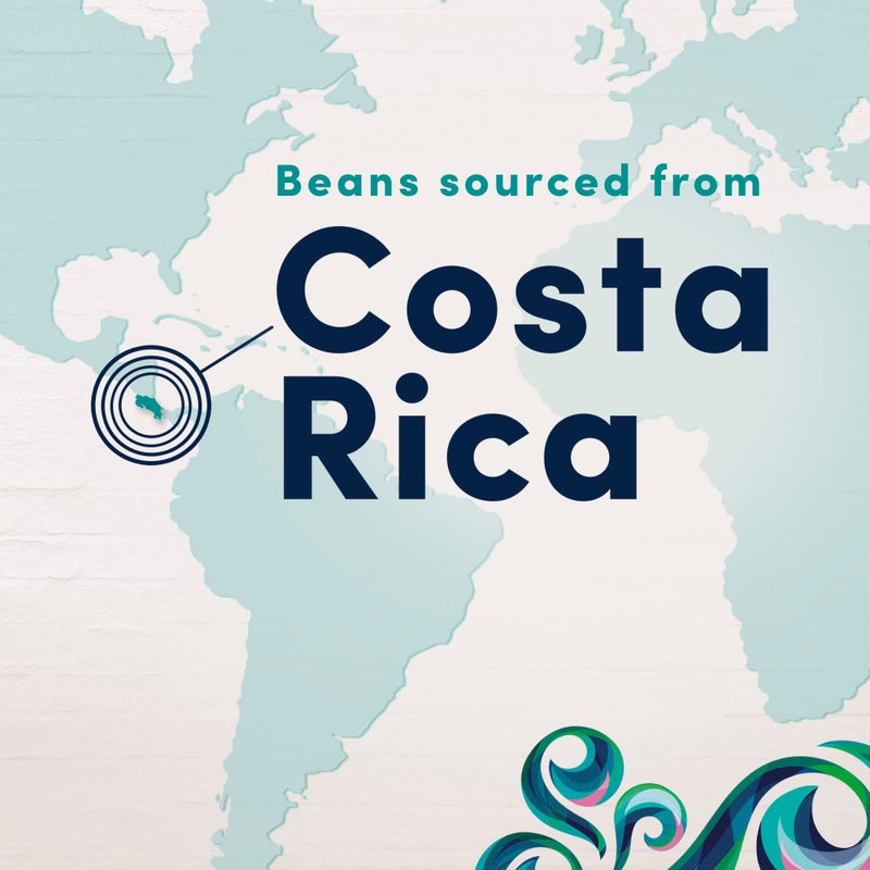 Gevalia Special Reserve Costa Rica Single Origin Medium Roast Ground Coffee, 10 oz. Bag - Image 5