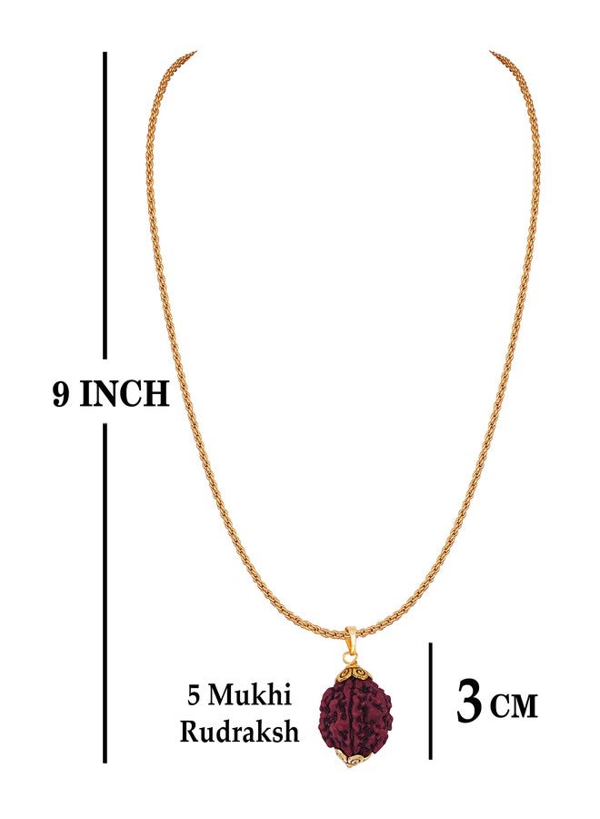 JFL-Jewellery for Less Black Onyx Stone and Panch Mukhi Rudraksha Stretchable Bracelet and Gold Plated Panch Mukhi Rudraksha Pendant with Chain for Men and Boys.,Valentine - Image 5