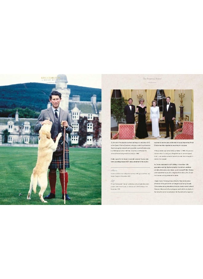null - King Charles III: A Modern Monarch - Image 1