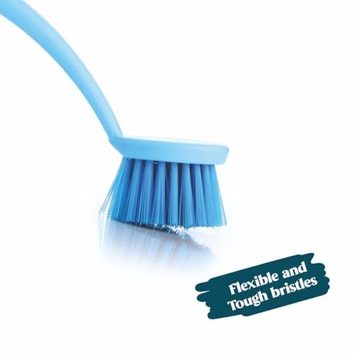 Homeor Dish & Kitchen Sink Brush with Comfortable Grip & Flexible Bristles, Tough Bristles for Stubborn Stains, Bathroom Tiles Cleaning Brush, 1 Piece, Blue - Image 2