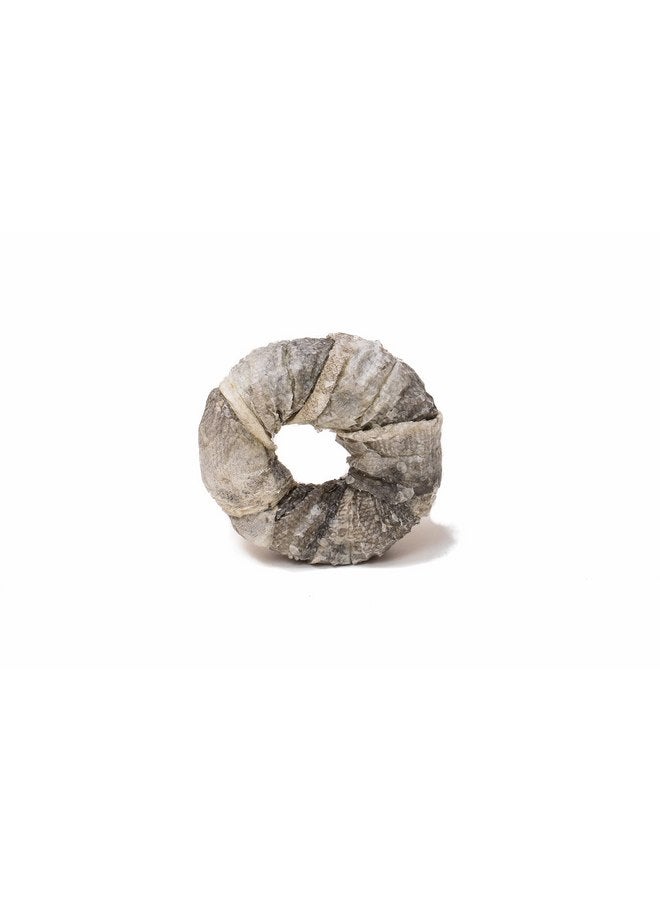 Eli Cod Skin Ring 3 Pack - Naturals Premium Dog Treats, Fish Skin Dental Treats, Rich in Protein & Omega 3, Low in Fat, Grain Free, Single Ingredient, Crispy, Hypoallergenic, Gluten Free, Air Dried - Image 3