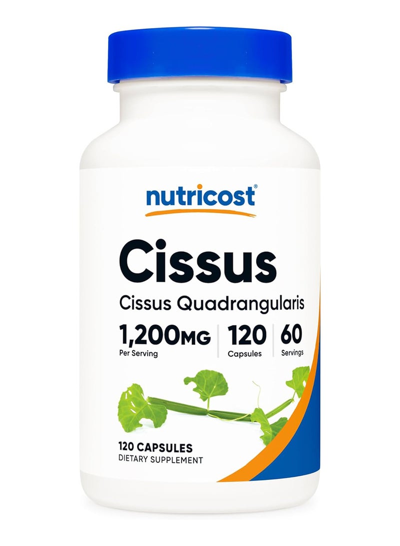 سيسوس كوادرانجولاريس 600 ملجم 120 كبسولة - Image 1