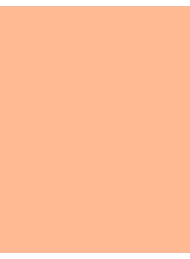 flormar NP Baked Blush On - 056 Peachy Pink - Image 4