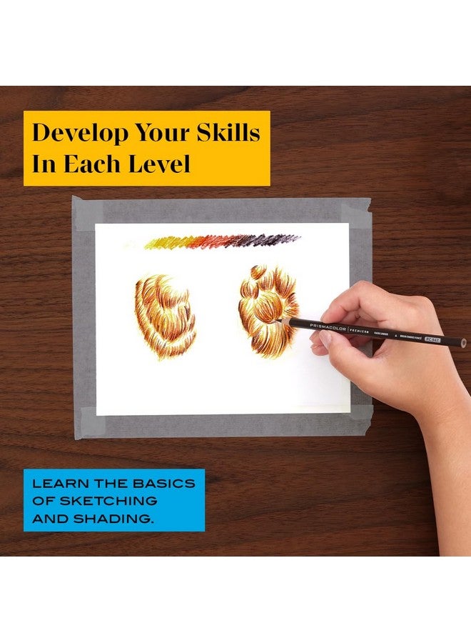 بريزما كالر لوازم فنية تقنية مع دروس الفن الرقمي، مجموعة رسومات الحيوانات المستوى 1 كيفية رسم الحيوانات باستخدام أقلام الرصاص الملونة وأقلام الرصاص الجرافيت والمزيد من دروس رسم الثعلب 26 عددًا - Image 3