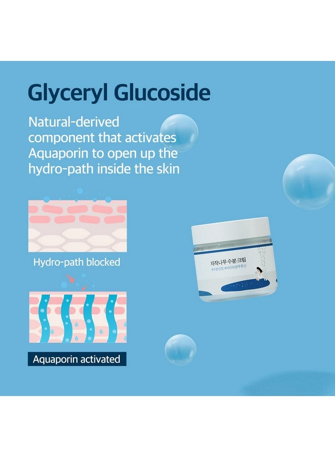 راوند لاب كريم مرطب بعصير البتولا من راوند لاب (بدون رائحة) | يُشكل حاجزًا مائيًا، ترطيبًا يدوم 48 ساعة، يُغذي بشرتكِ ويُقلل الالتهاب، حمض الهيالورونيك فيتا (2.71 أونصة سائلة) - Image 4