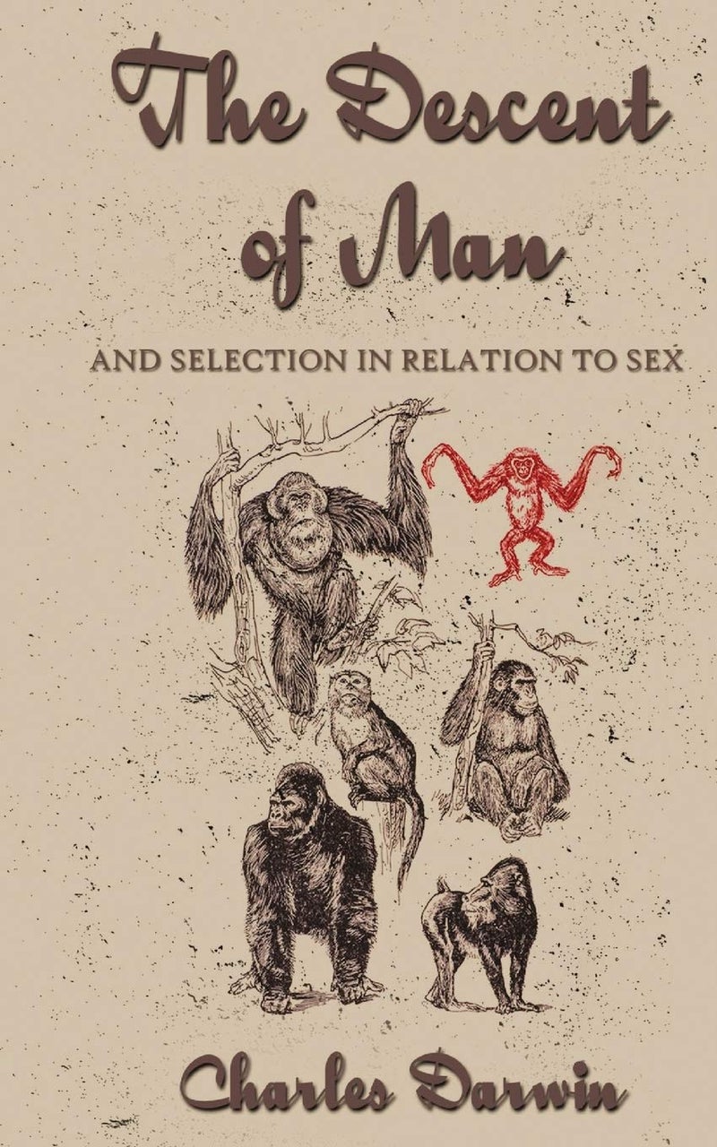 The Descent Of Man 