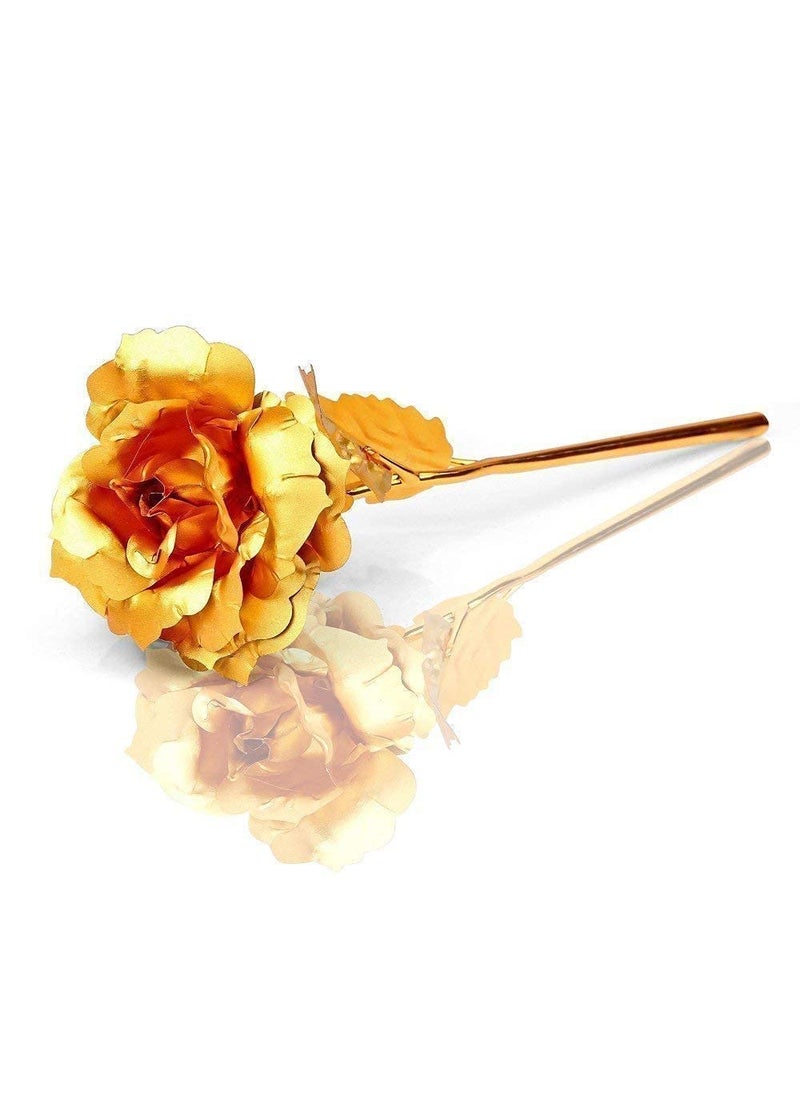 Saugat Traders Saugat Traders Apology Gifts Combo - Chocolate, Greeting Card with Golden Rose - Sorry Gift For Girlfriend - Boyfriend - Best Friend  - Image 4