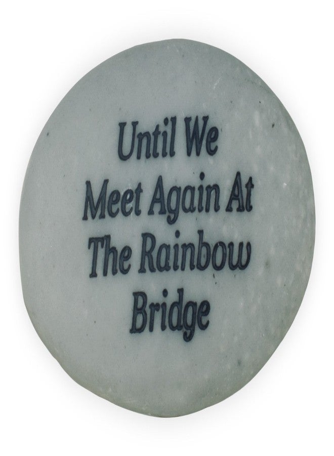 أنجل ستار حجر أنجلستار رينبو بريدج للحيوانات الأليفة، رمادي داكن - Image 1