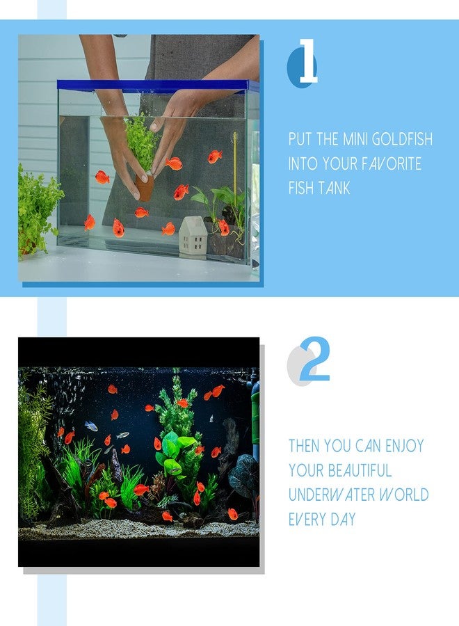 Yookeer مجموعة يوكير من 36 قطعة من تماثيل أسماك ذهبية حمراء صغيرة مصنوعة من الراتنج، مثالية لتزيين أحواض السمك، وإكسسوارات تزيينية مصغرة للمنزل، والأعمال اليدوية، والحدائق، والهدايا. - Image 5