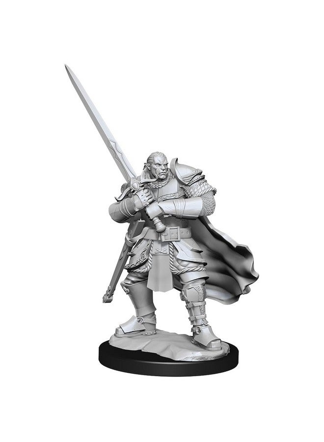 WiZKiDS D&D Nolzur's Marvelous Miniatures: Half-Orc Paladin Male - Image 2