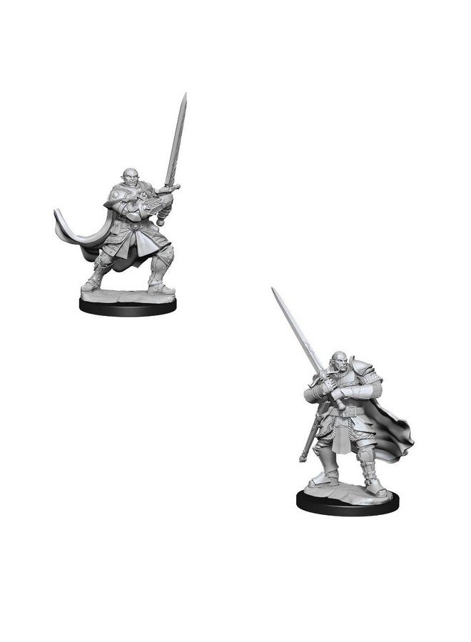 WiZKiDS D&D Nolzur's Marvelous Miniatures: Half-Orc Paladin Male - Image 1