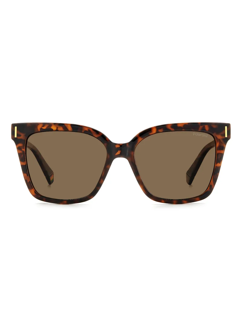 بولارويد Square Polaroid Sunglasses Frames