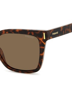 Polaroid Square Polaroid Sunglasses Frames  - Image 5