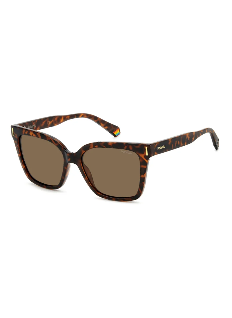 Polaroid Square Polaroid Sunglasses Frames