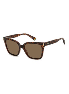 Polaroid Square Polaroid Sunglasses Frames  - Image 1