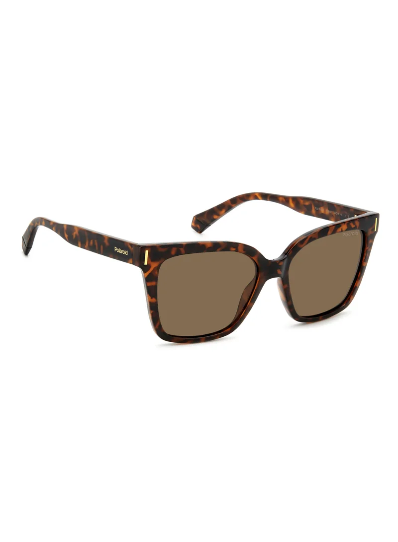 Polaroid Square Polaroid Sunglasses Frames