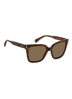 Polaroid Square Polaroid Sunglasses Frames  - Image 3
