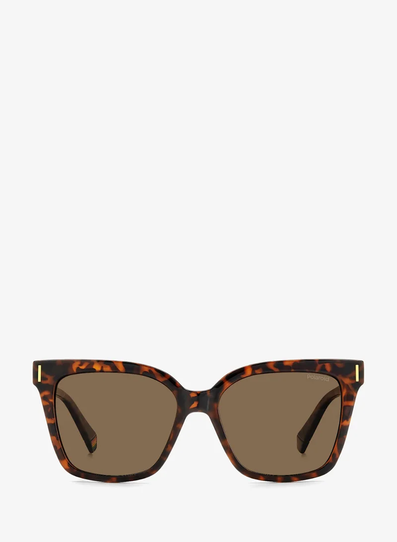 Polaroid Square Polaroid Sunglasses Frames