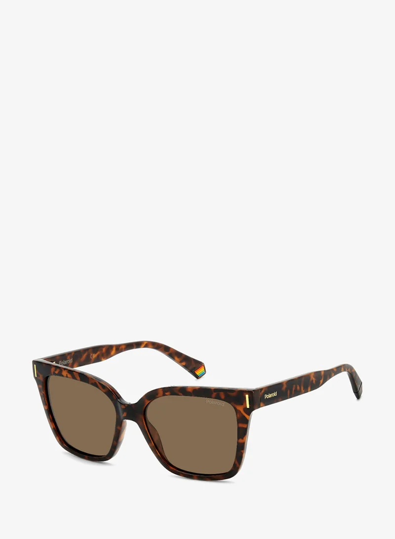Polaroid Square Polaroid Sunglasses Frames