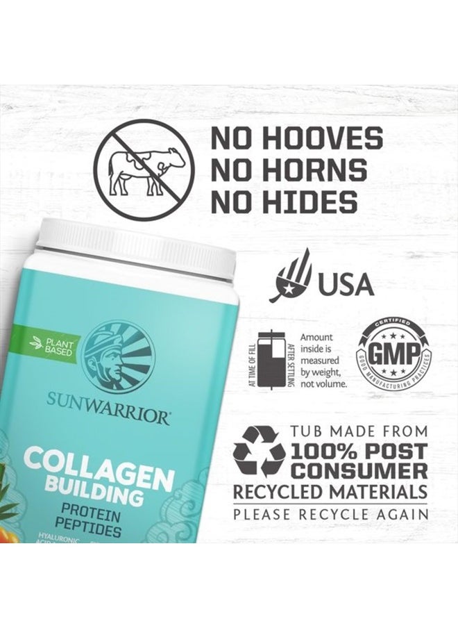 Sunwarrior Collagen Peptides Building Powder | Vegan Collagen for Women Plant-Based Protein Powder | Hyaluronic Acid, Biotin, Silica, Vitamin C for Hair Skin & Nails | 40 Servings, Vanilla Flavored  - Image 3