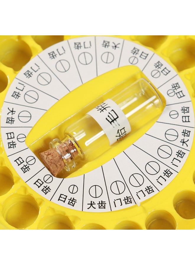 Direct Sale Newborn Fetal Hair Bottle Children's Teeth Snake Milk Tooth Box Special Activities-Color:White  - Image 4