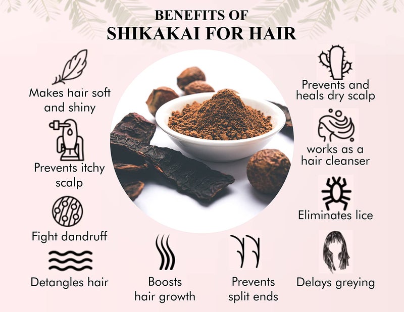 AYURVEDASHREE Shikakai Powder 100 Gm | Acacia concinna Fruit Pods Powder | Natural Hair Cleanser & Conditioner | Vegan | Non GMO | Vegan - Image 3