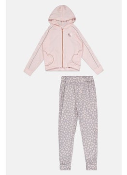 Kids Girl 2 Pcs Embroidered Hoodie And Sweatpant Set, Pink/Grey