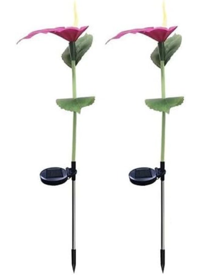 Dekorly Solar Flower Lights Outdoor, Waterproof Solar Garden Lights IP65, Auto On/Off, Decorative Solar Powered Flowers for Yard, Pathway, Lawn, Patio – Warm White & Color Changing(Horseshoe, 2PCS) - Image 1
