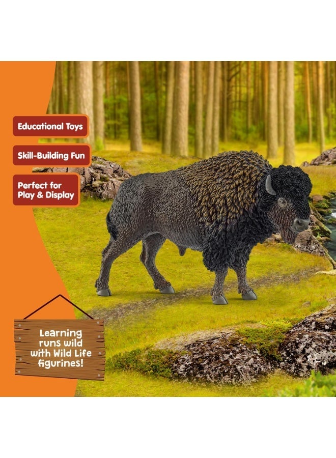 Schleich Bison, Wild Life Figure 14879 - Image 4