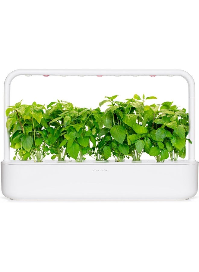 CLICK AND GROW Smart Garden Cinnamon Basil Plant Pods, 3-Pack  - Image 4