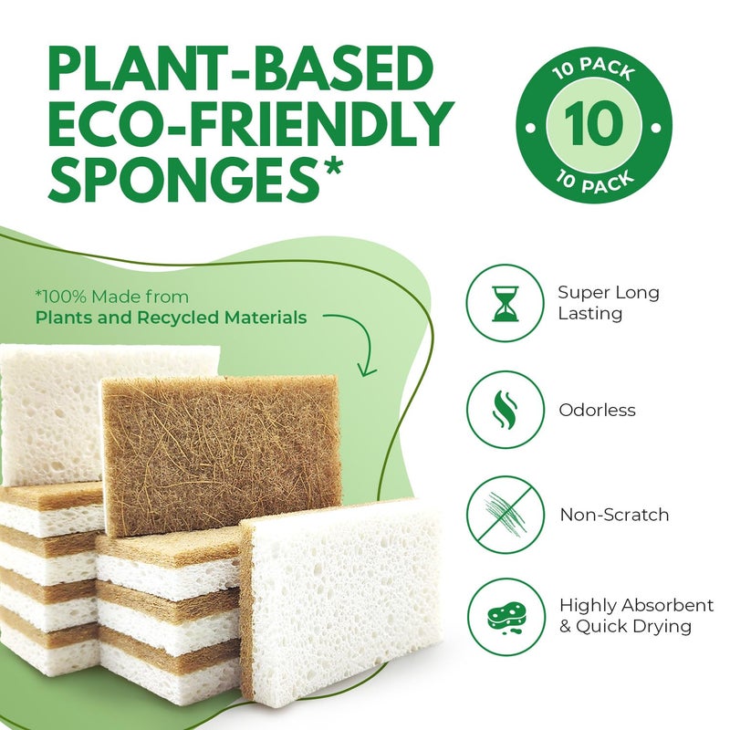 AIRNEX 10 Pack Biodegradable Natural Kitchen Sponge - Compostable Cellulose and Coconut Walnut Scrubber Sponge - Eco Friendly Sponges for Dishes - Image 2