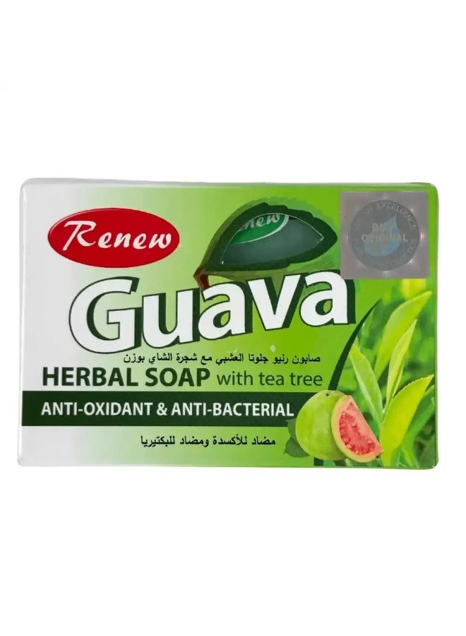 Renew صابون الأعشاب المضاد للأكسدة والمضاد للبكتيريا من الجوافة مع شجرة الشاي - 135 جرام - Image 1