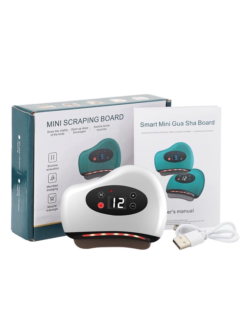 DubaiGallery - Electric Red Light Photothermal Scraping Device, Electric Bianstone Scraping Board, Lymphatic Dredging Heating Electric Scraping Instrument Massage Tool - Image 1
