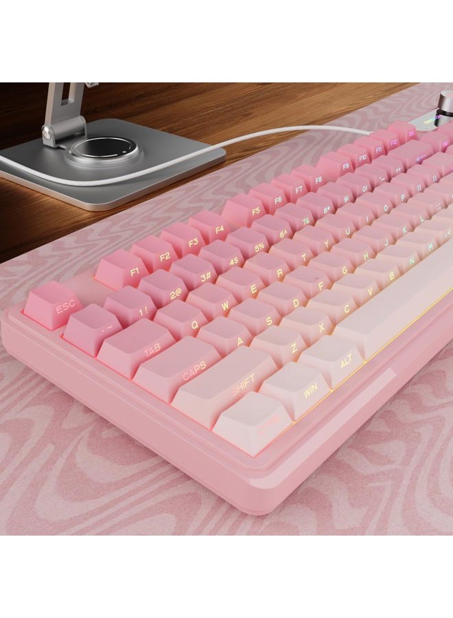 Eweadn V102 Wired Keyboard, 98 Keys Creamy Gaming Keyboard with Number Pad, Display Screen & Media Knob RGB Silent Wired Cute Computer Keyboard for Laptop PC Gamer - Gradient Pink - Image 1