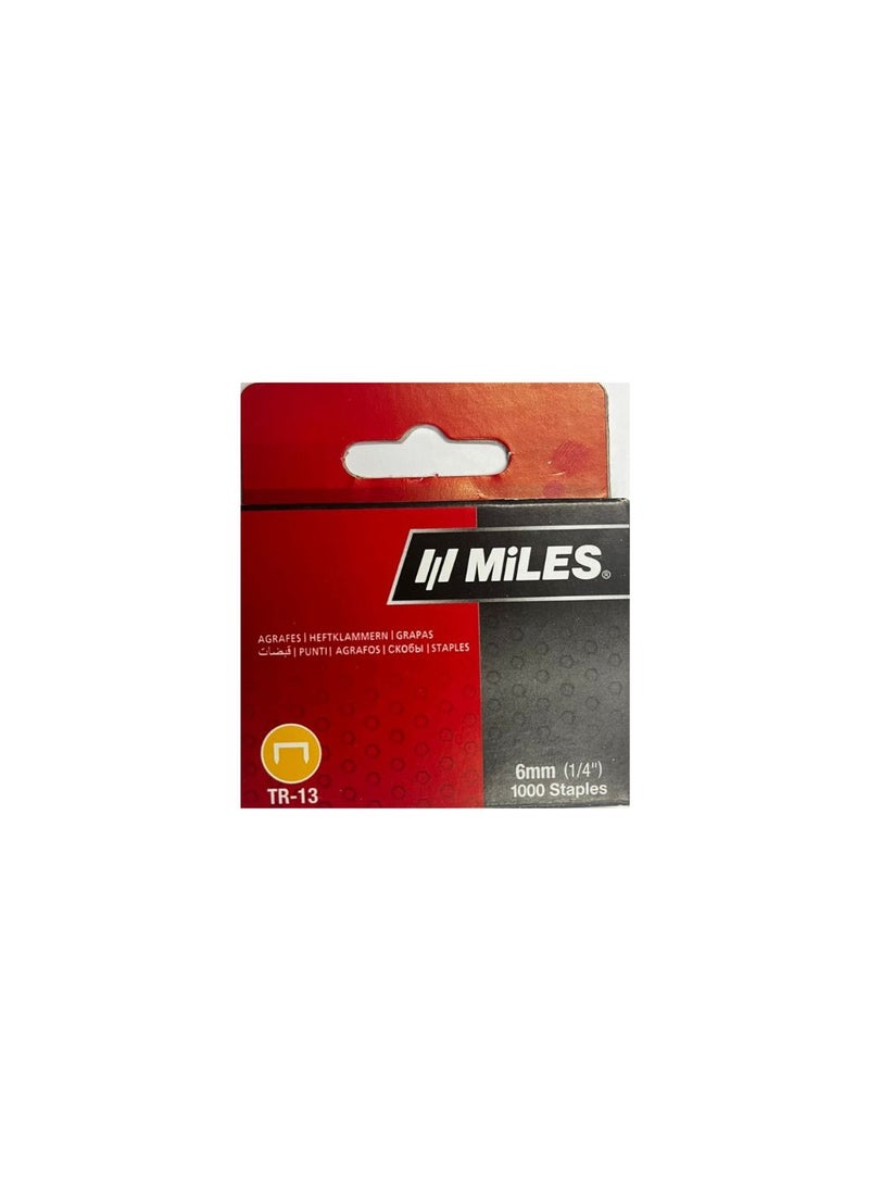 MiLES دبابيس دباسة TR13/6-1MM  - Image 1