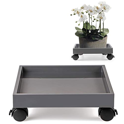 Skelang Square Wheeled Plant Dolly - ABS Planter Trays, Heavy Duty, Load Capacity 110 Lbs - Image 1