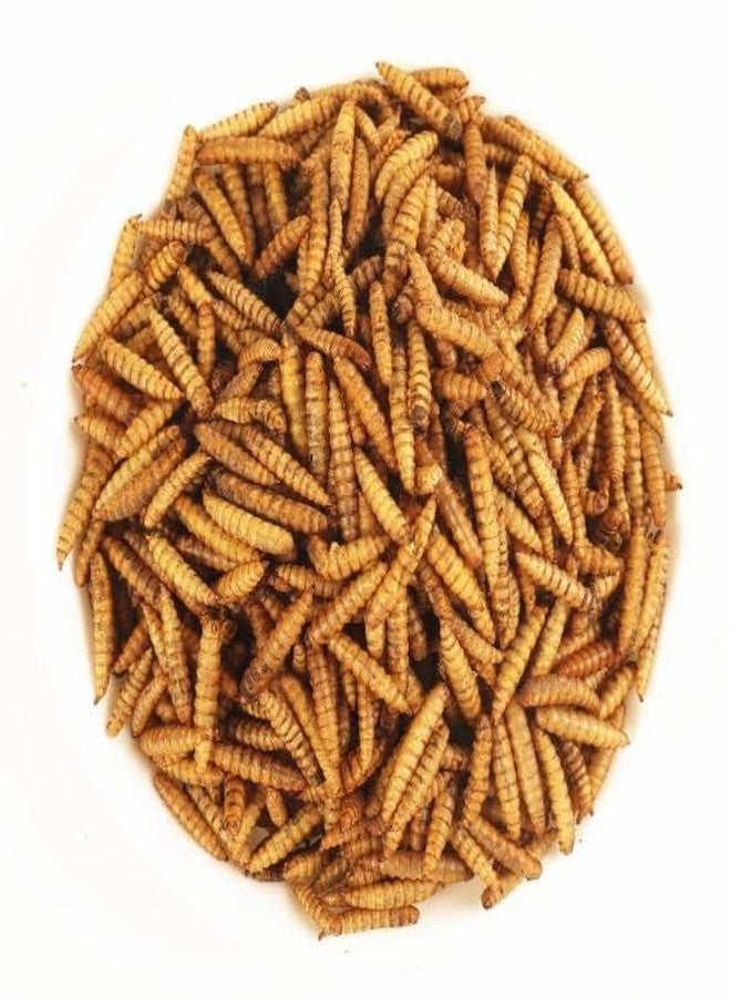 يرقات ذبابة الجندي الأسود نيتيشري ® | 1800 قطعة | 60 ضعف الكالسيوم مقارنةً بديدان الوجبة، 40% بروتين، غذاء غني للأسماك، مناسب لأسماك الأوسكار، والأروانا، والفلاور هورن، والسلاحف البالغة، والسلاحف البرية، عبوة واحدة - Image 3