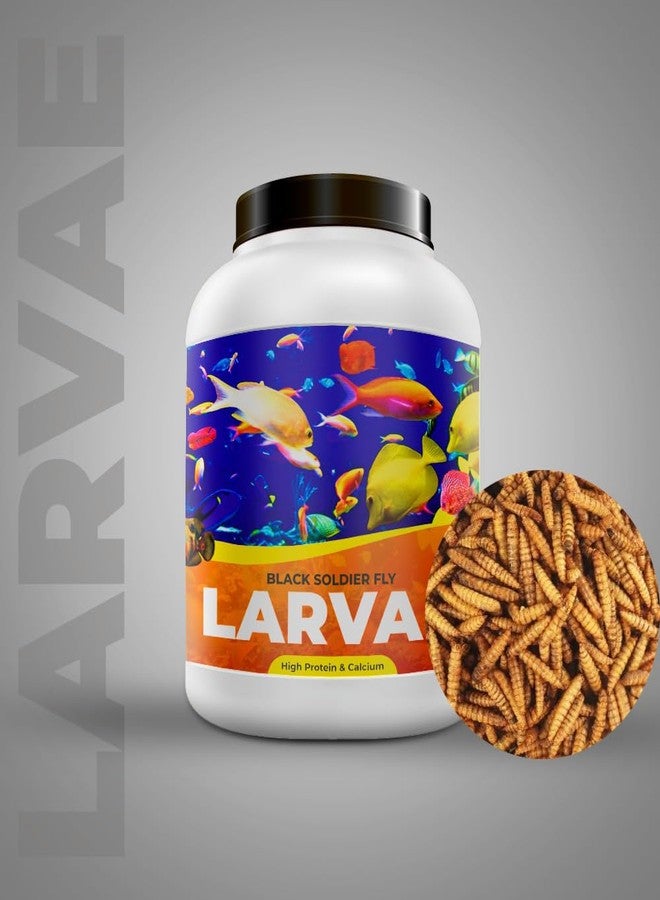 يرقات ذبابة الجندي الأسود نيتيشري ® | 1800 قطعة | 60 ضعف الكالسيوم مقارنةً بديدان الوجبة، 40% بروتين، غذاء غني للأسماك، مناسب لأسماك الأوسكار، والأروانا، والفلاور هورن، والسلاحف البالغة، والسلاحف البرية، عبوة واحدة - Image 2