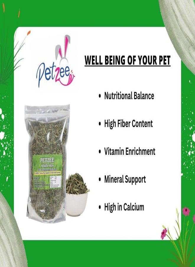 PETZEE تبن البرسيم من بيتزي، غذاء للأرانب، وخنازير غينيا، والهامستر، وغيرها من الحيوانات الصغيرة (400 غرام) - عبوة واحدة - Image 4
