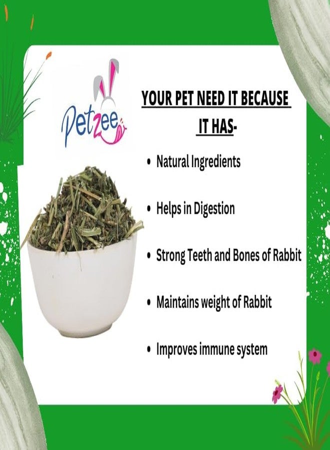 PETZEE تبن البرسيم من بيتزي، غذاء للأرانب، وخنازير غينيا، والهامستر، وغيرها من الحيوانات الصغيرة (400 غرام) - عبوة واحدة - Image 3