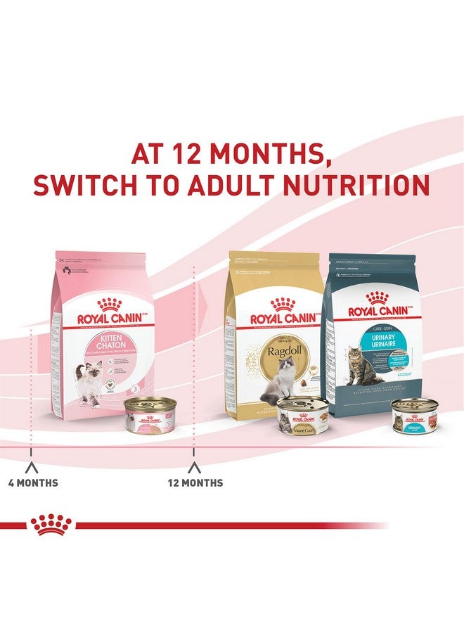 Royal Canin Feline Health Nutrition Kitten Loaf in Sauce Canned Cat Food, 3 oz can (Pack of 24)