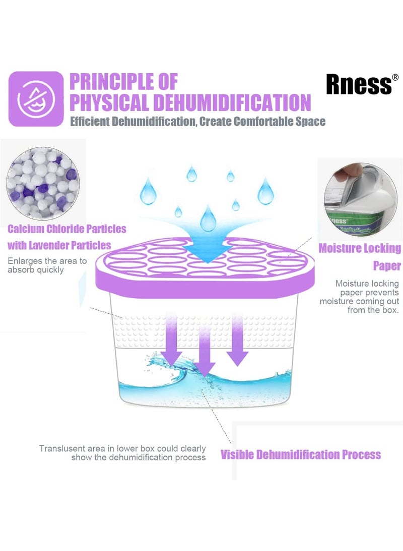 Rness Lavender-Scented Moisture Absorber Boxes,6 Pack Humidity Absorber for Closet Wardrobe Kitchen Bathroom, Moldproof Deodorizing Desiccant Dehumidifier Boxes(600ml 10.5Oz Absorption Per) - Image 2