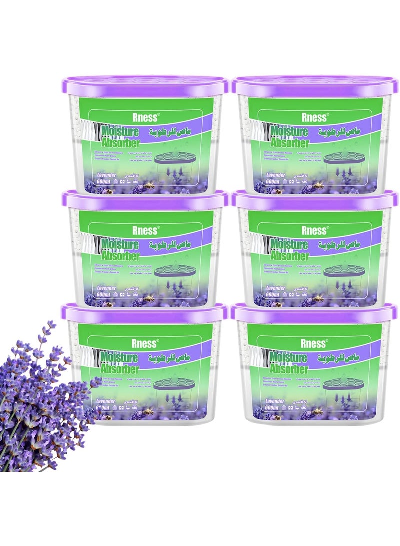 Rness Lavender-Scented Moisture Absorber Boxes,6 Pack Humidity Absorber for Closet Wardrobe Kitchen Bathroom, Moldproof Deodorizing Desiccant Dehumidifier Boxes(600ml 10.5Oz Absorption Per) - Image 1