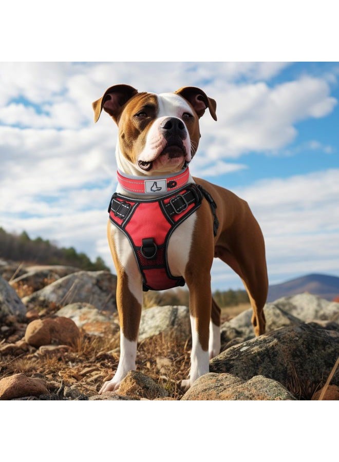 Joytale طوق للكلاب المتوسطة، مبطن بالنيوبرين وقابل للتعديل، طوق حيوانات أليفة عريض وقوي مع مشبك حزام معدني متين للمشي، أحمر، م - Image 3