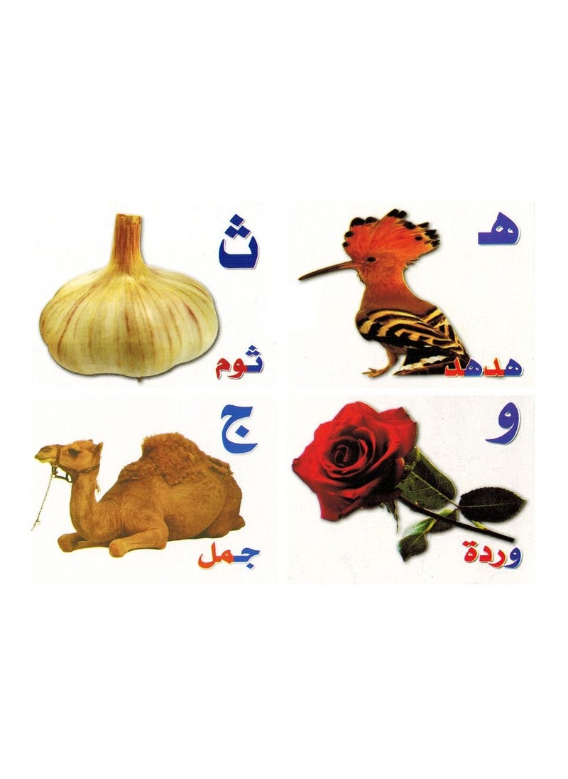 Flash Educational Cards Arabic Alphabet  - Image 3
