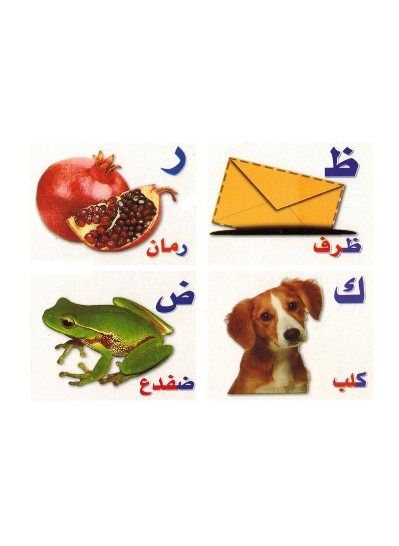 Flash Educational Cards Arabic Alphabet  - Image 2